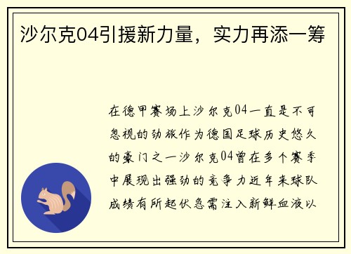 沙尔克04引援新力量，实力再添一筹